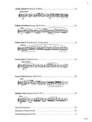 Developing Artist Piano Sonatinas, Book 2