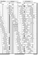 AMEB Music Practice Diary