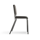 Alges Musicians Chair Side