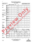 Pastoral Symphony (First Movement) - arr. Richard Meyer (Grade 2.5)