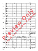 Symphony No. 36, The "Linz" (1st Movement) - arr. Richard Meyer (Grade 2.5)