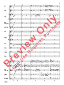 Symphony No. 36, The "Linz" (1st Movement) - arr. Richard Meyer (Grade 2.5)