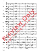 Symphony No. 36, The "Linz" (1st Movement) - arr. Richard Meyer (Grade 2.5)