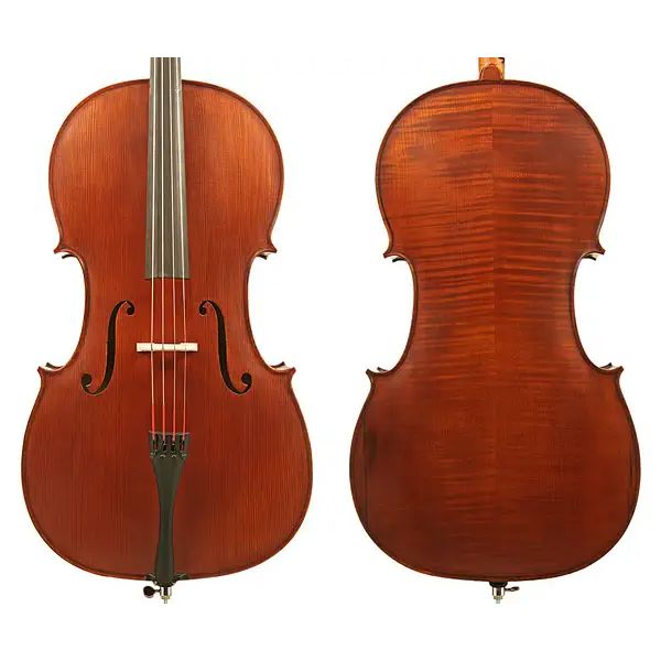 Gliga III Cello Outfit