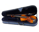 Raggetti RV2 Violin Outfit