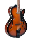 Gold Tone Mandocello