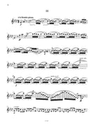 Zgraja: 3 virtuoso Flamenco Studies for Flute