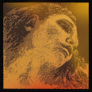 Evah Pirazzi Gold Strings for Violin