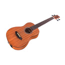 Cordoba Mini II Bass MH-E Acoustic-Electric Bass Guitar