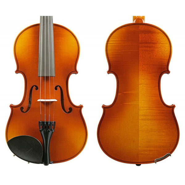 Raggetti RV2 Violin Outfit