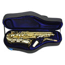 Reunion Blues RBX Alto Sax Case