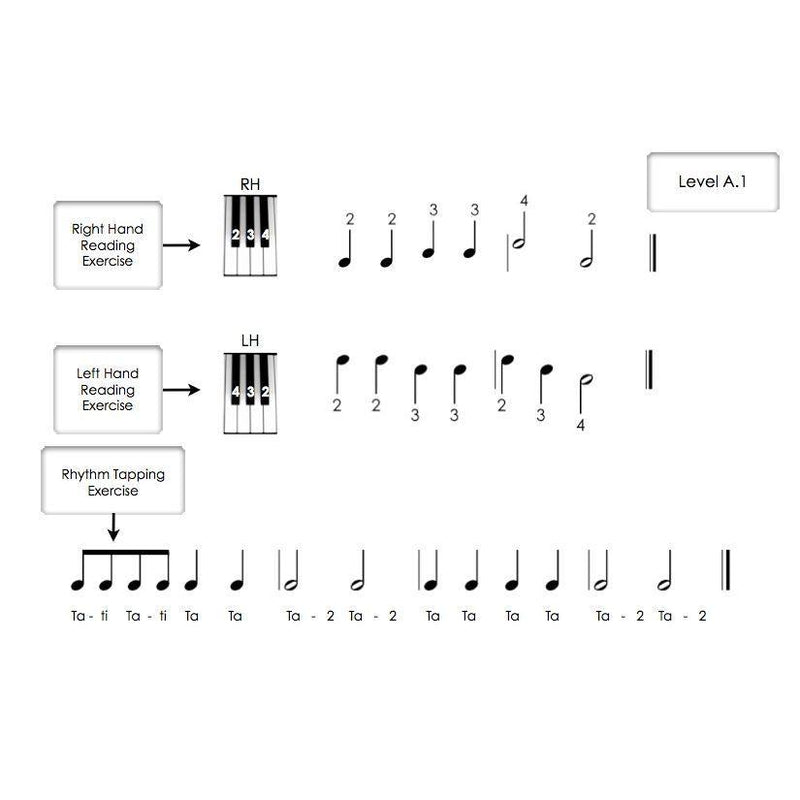 Piano Safari Sight Reading Cards 1