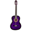 Valencia 100 Series Classical Guitar