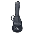 SX / Laney Full Size Electric Guitar & Amp Pack