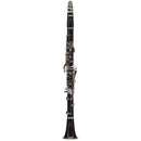 Buffet R13 Professional Clarinet