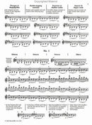 Ševčík: Violin Studies Op. 9