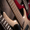 Cort Artisan B4 Element Bass Guitar