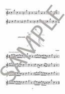 The Young Flute Player Book 2 by Karen North