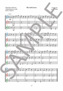 The Young Flute Player Book 5 - Intermediate Duets & Trios